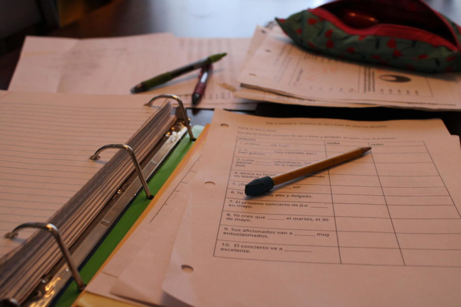 Does homework actually help students in school? (Photo by Aynsleigh Penland)