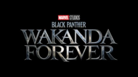 What to expect from Black Panther: Wakanda Forever
