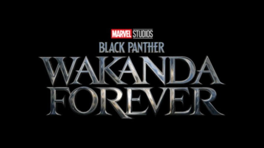 What+to+expect+from+Black+Panther%3A+Wakanda+Forever