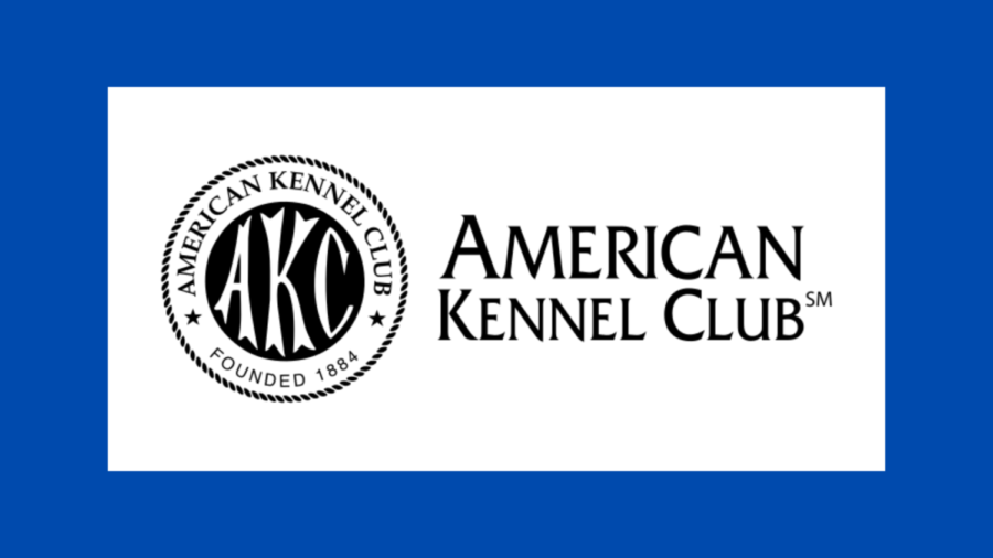 American Kennel Club Digital Design by Aynsleigh Penland on Canva