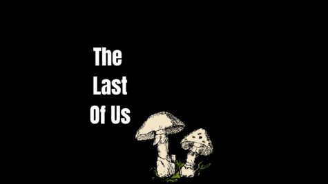 The Last of Us looks promising