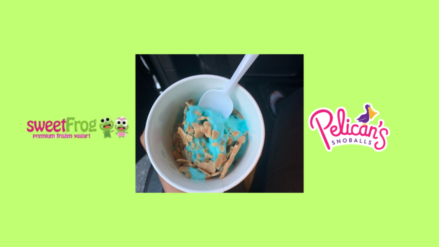 Beating+the+heat+with+Sweet+Frog+and+Pelicans