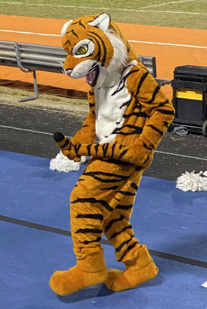 Benny the Bengal appears at many school events such as sports games and works towards getting everyone in the audience excited.
