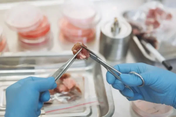 Meat grown in labs are safe and have proven to be beneficial in the sense that it doesnt require more animals to die.