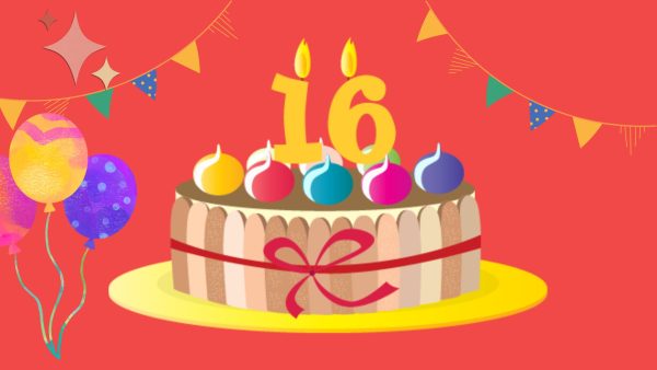 For many people, a sixteenth birthday is a day to throw a large celebration. But not everyone may believe in throwing a large party in order to celebrate a sixteen year old.