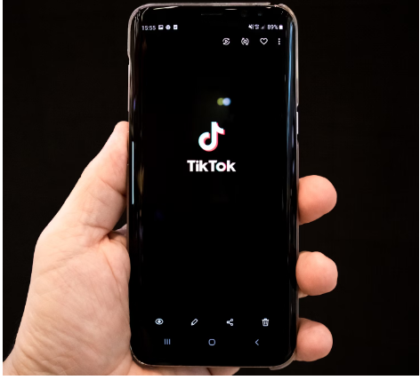 There are talks of the famous app TikTok getting banned in 2025.

