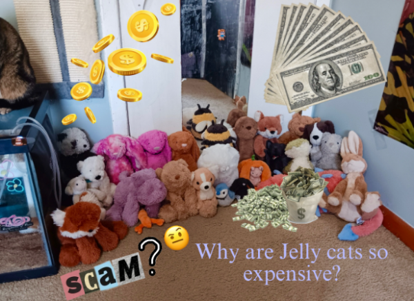 Students at FVHS discover why Jellycats are so expensive.

