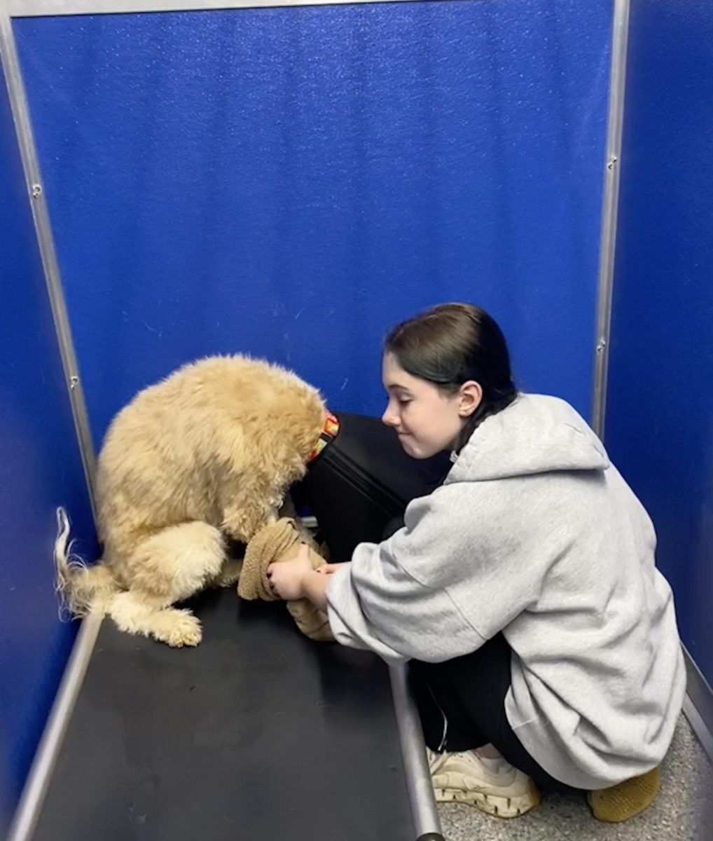 Junior Cassi Maruna works at Pooch Pad. Working at a dog care and grooming business can be the perfect start to saving money for your future. 

