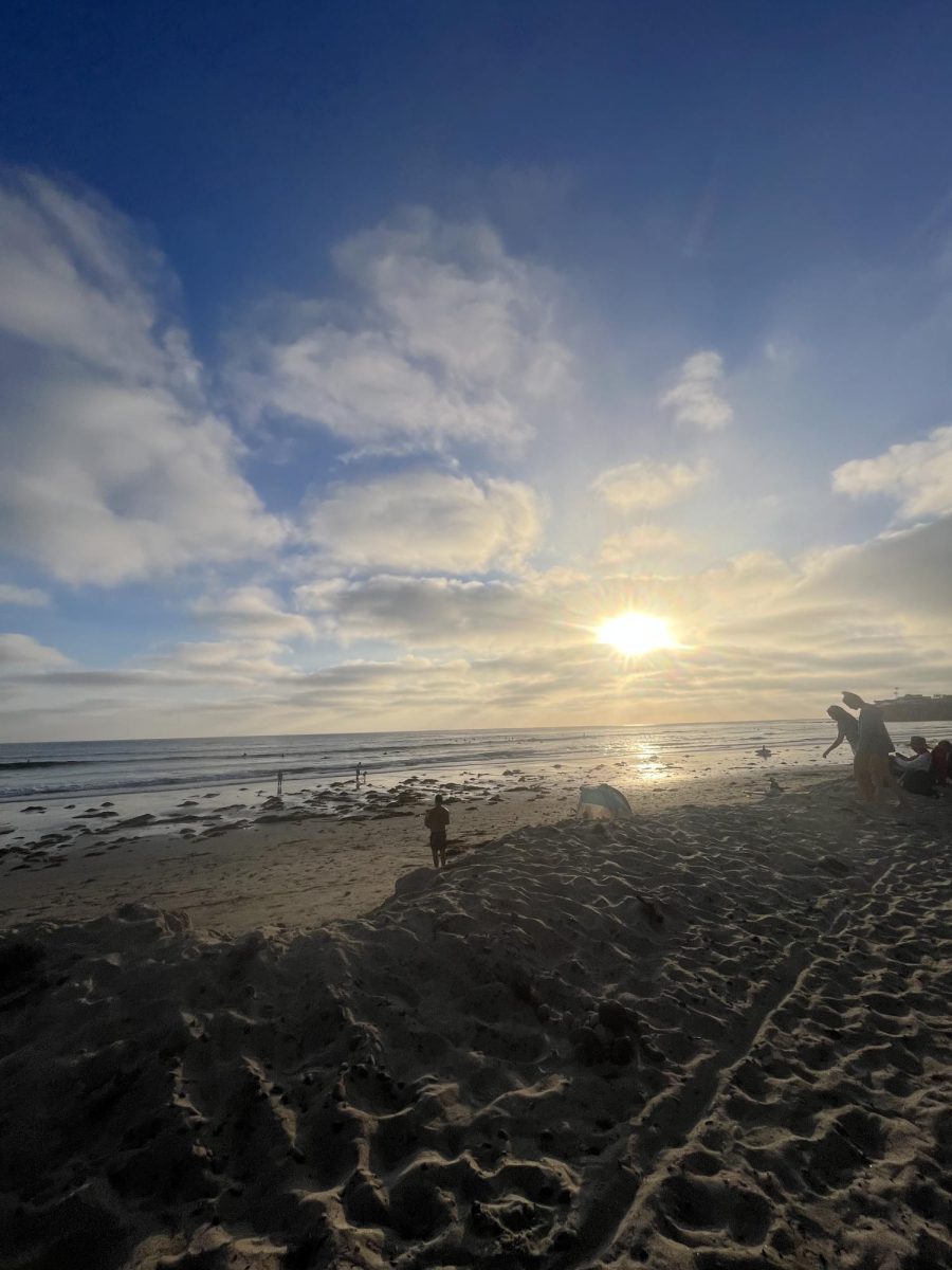 North Carolina’s beaches offer great spots for relaxation, fun and exploring sea life.

