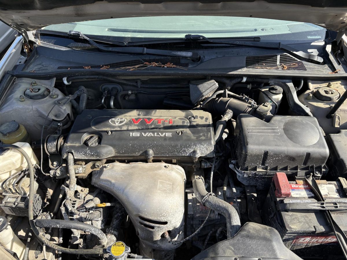 Schools teach us how to take tests, and maintain academic standards, but what happens when new graduates need to navigate adult life on their own, like changing their car’s oil?

