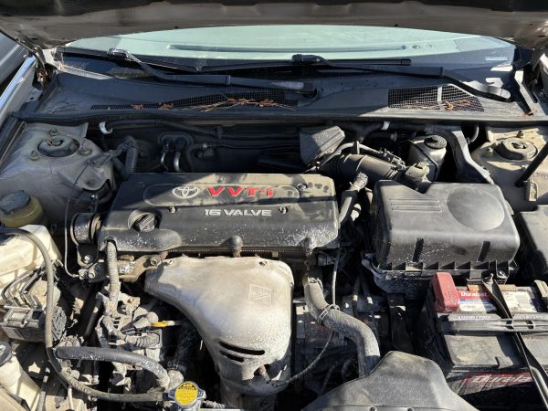 Schools teach us how to take tests, and maintain academic standards, but what happens when new graduates need to navigate adult life on their own, like changing their car’s oil?

