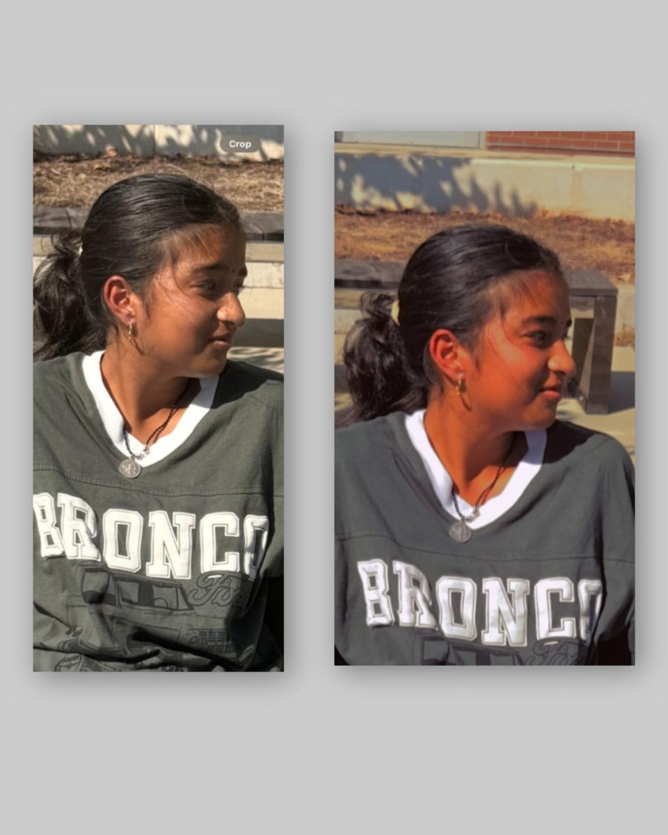 An unfiltered and an original photo taken by Lakshya Bobbili, compared to the filtered one, which was taken by Meghana Reddy Mallireddy. 
