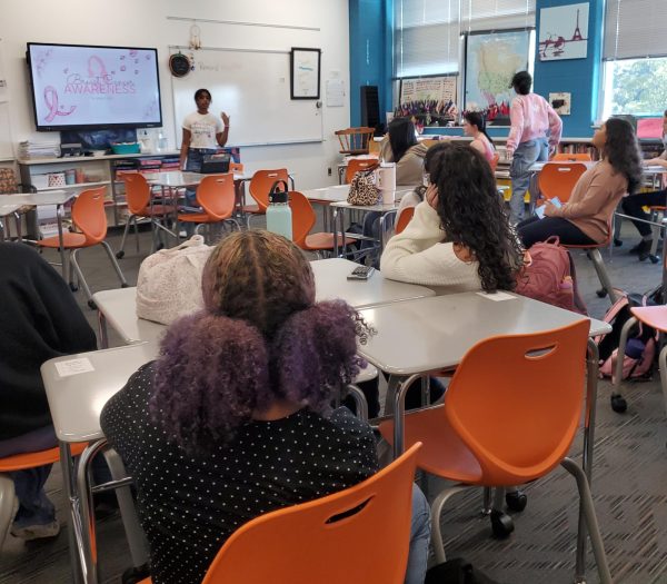 Students come together during a WHOA meeting to help raise awareness for those with breast cancer.