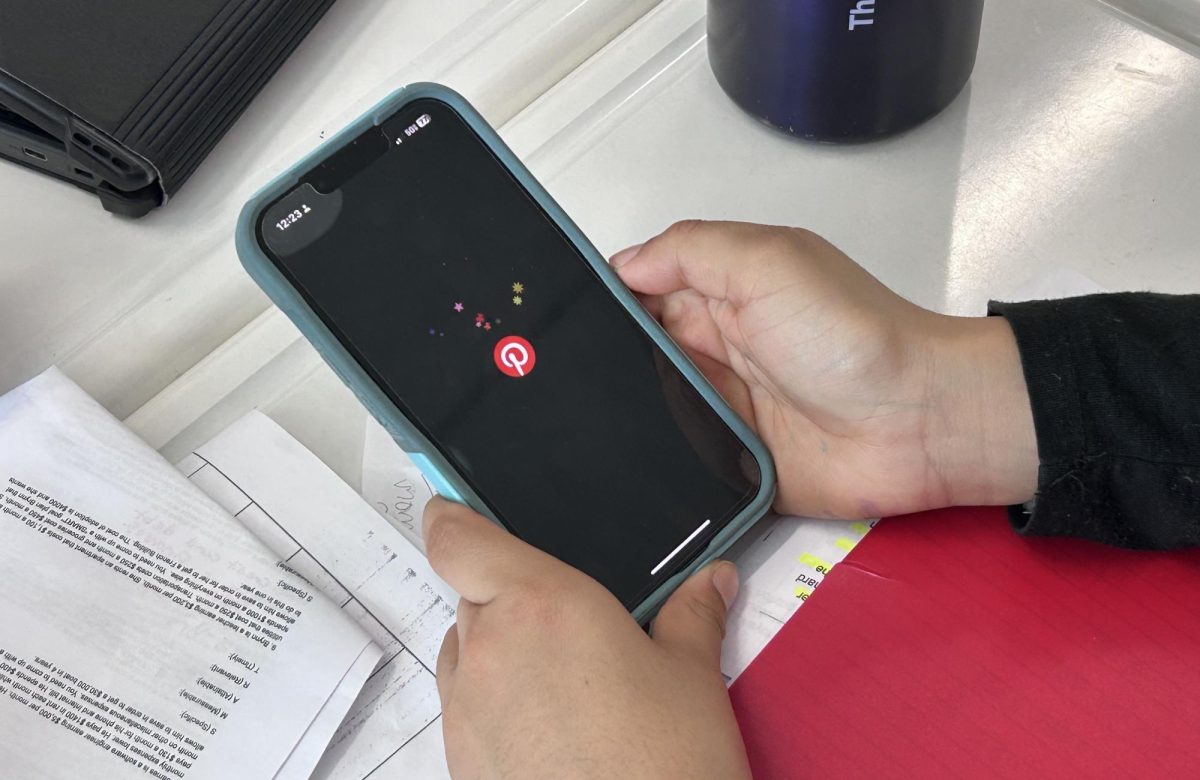 A student gleefully opens pinterest.