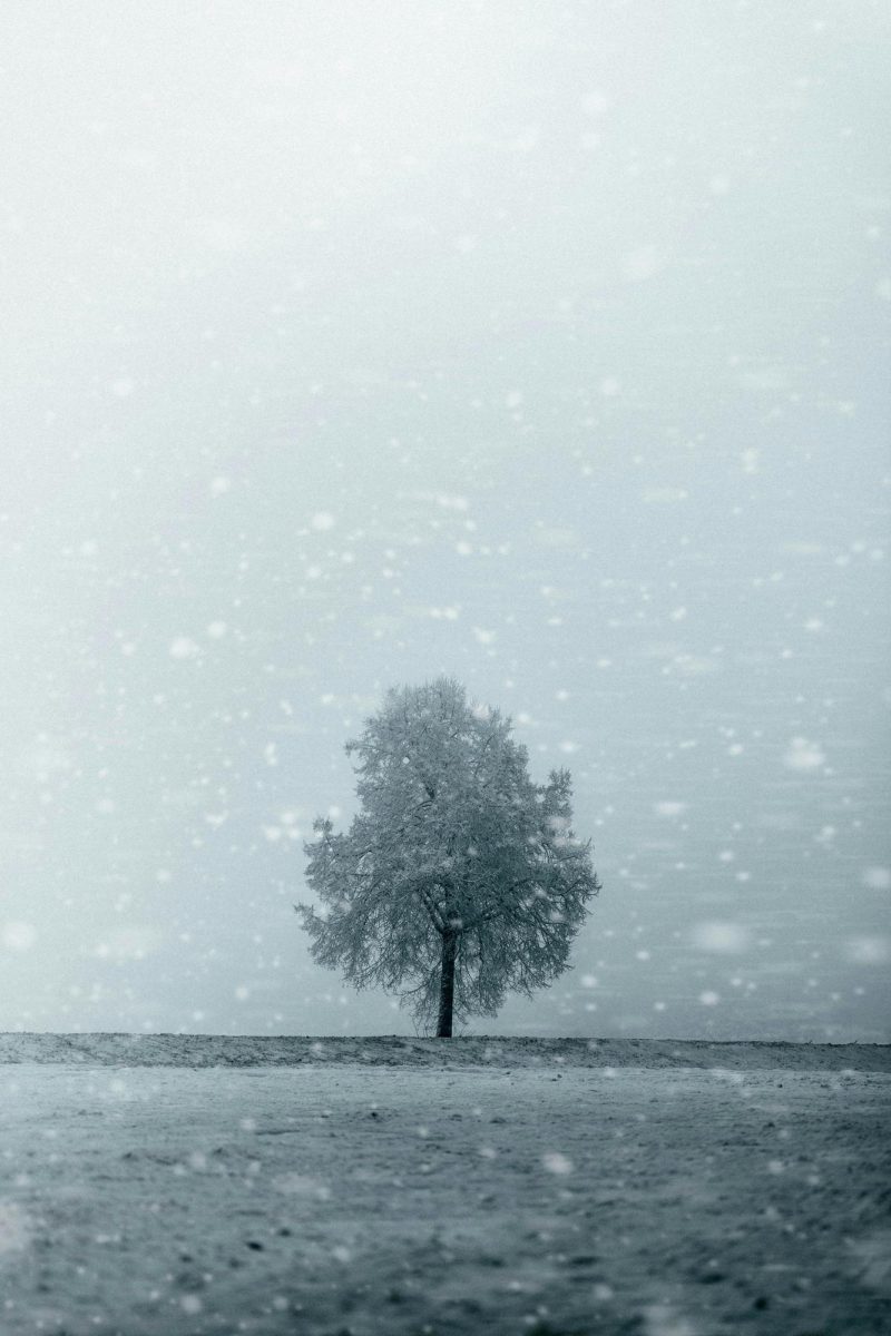 Millions of people suffer from seasonal depression a year. Photo by Adam Neumann on Unsplash