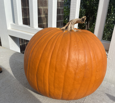 A detailed look at how Halloween has changed from a religious festival to a costume-wearing, candy grabbing, trick-or-treating holiday.
