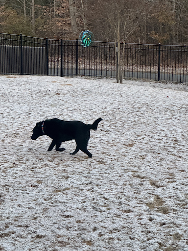 Snow days are a day of rest and fun. Photo by Sylvia Vick.