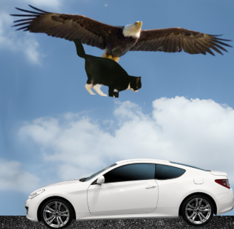 A visual representation of the eagle holding the cat that got dropped on the car.