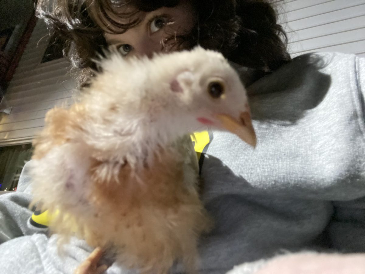 Me and a chicken hanging out.