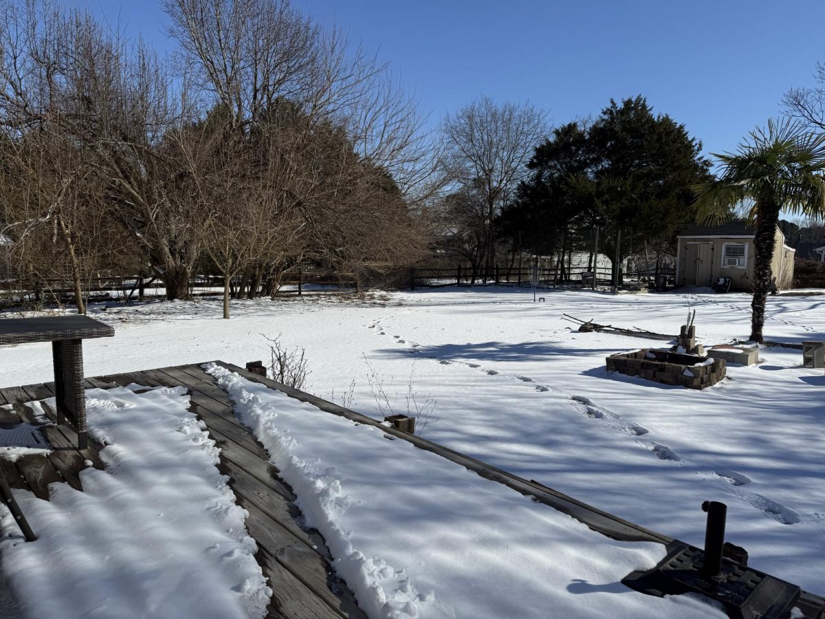 The cold climate of January results in snow covering the North Carolina ground.