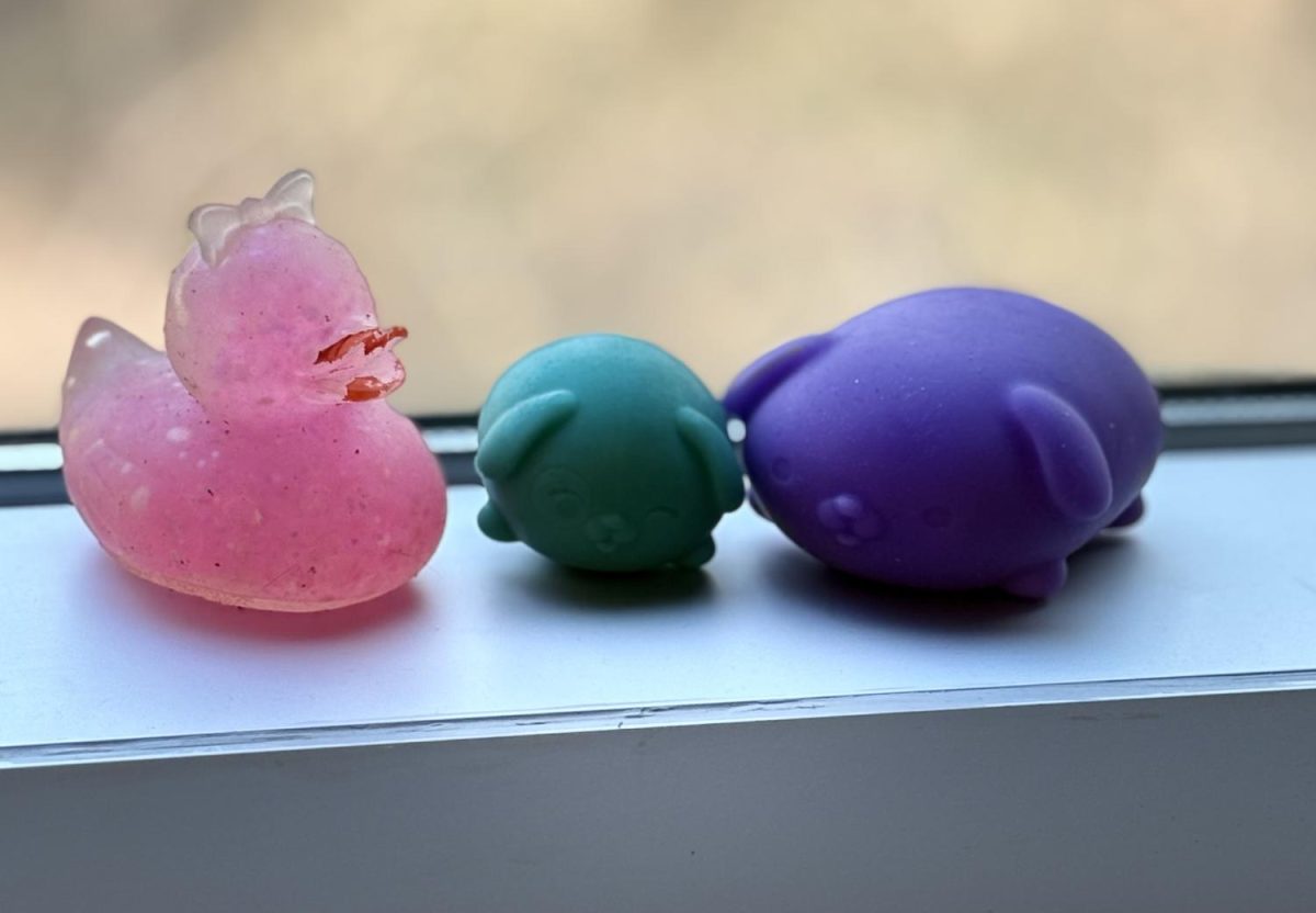 The growing use of stress balls reflects how students are finding small but effective ways to handle everyday pressures.