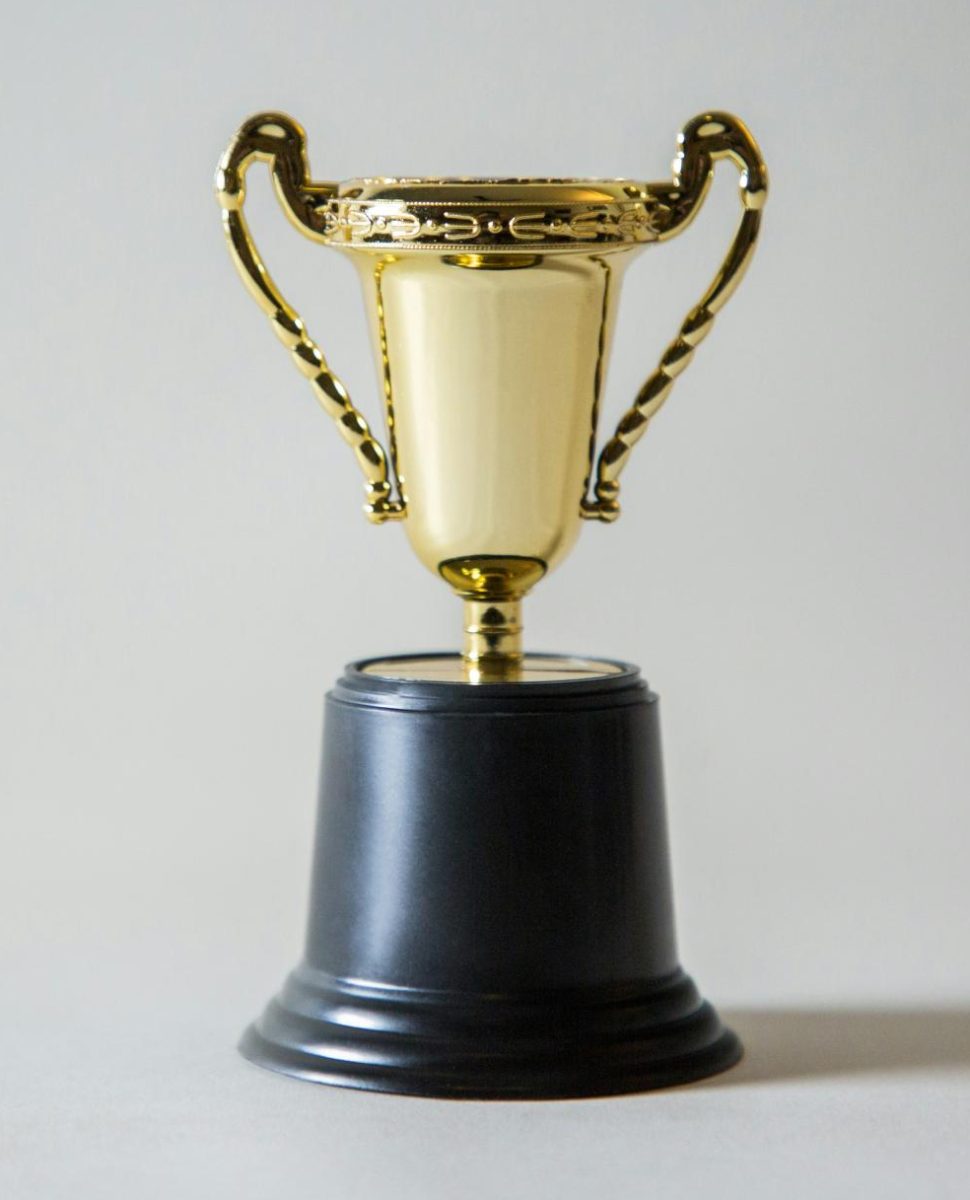 High achievers tend to receive many awards because of their high standards.