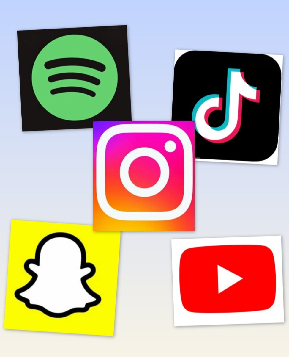 Having social media is good, but only to an extent.