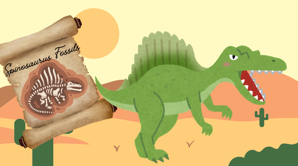 Fossils of new species of Spinosaurus have been found in the Sahara Desert.