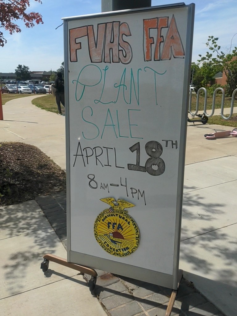 Plants like these are being sold to raise money for FFA.