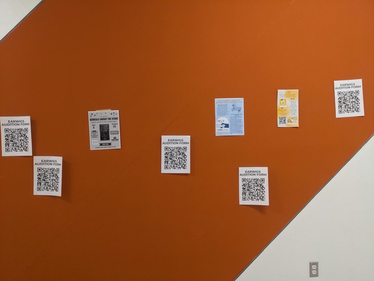 Enigmatic posters encourage people to audition for Earwigs.