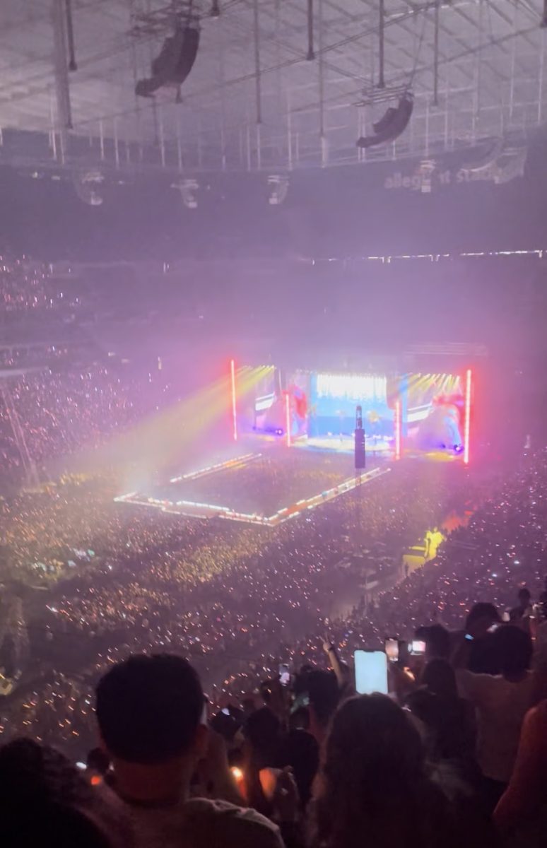 Concerts can be very enjoyable for those willing to pay the ticket prices.