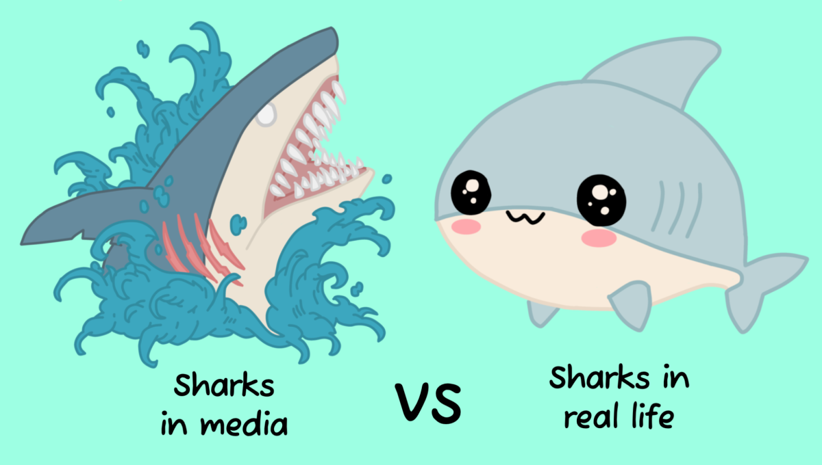 Many animals aren’t always as they seem.