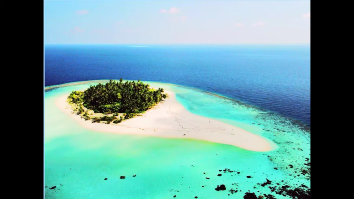 Could students today survive on a desert island?